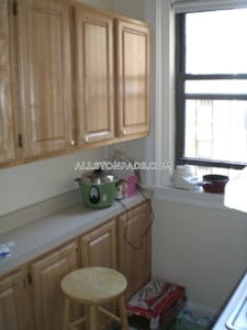 Allston Apartment for rent 1 Bedroom 1 Bath Boston - $2,800 No Fee