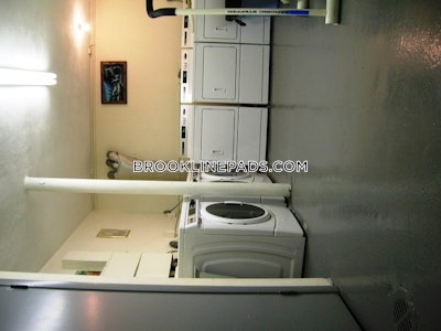 Brookline Apartment for rent 2 Bedrooms 1 Bath  Boston University - $3,700 No Fee
