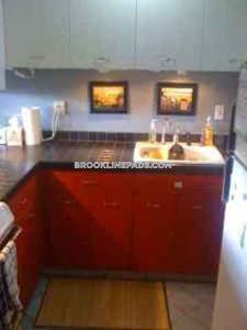 Brookline Apartment for rent Studio 1 Bath  Coolidge Corner - $2,500 No Fee