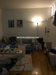 Brookline Apartment for rent 1 Bedroom 1 Bath  Washington Square - $2,250 No Fee