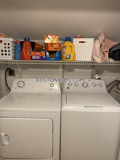 Mission Hill 4 Bed 2 Bath BOSTON Boston - $5,500 No Fee