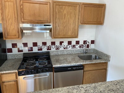 Brighton 3 Beds Brighton Center Boston - $3,300 No Fee