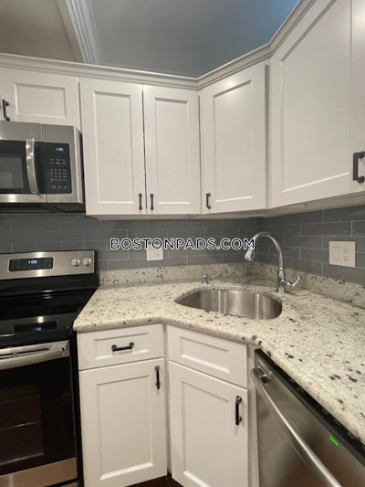 Roxbury 1 Bed 1 Bath Boston - $2,550 No Fee