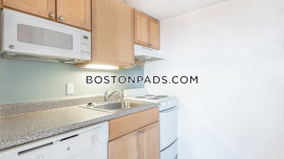 Cambridge 1 Bed 1 Bath CAMBRIDGE  Central Square/cambridgeport - $2,855