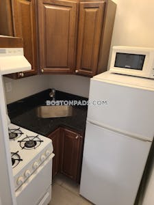 Northeastern/symphony 1 Bed 1 Bath Boston - $2,340