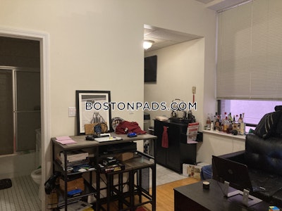 Downtown 1 Bed 1 Bath BOSTON Boston - $2,500 No Fee