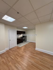 Chinatown 1 Bed 1 Bath Boston - $3,050 No Fee