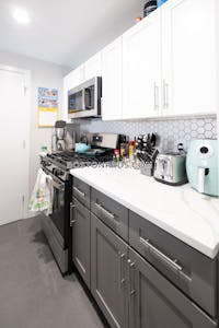 South End 1 Bed 1 Bath BOSTON Boston - $3,250