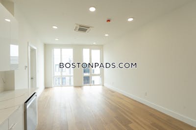 Brighton 1 Bed 1 Bath BOSTON Boston - $3,300 No Fee