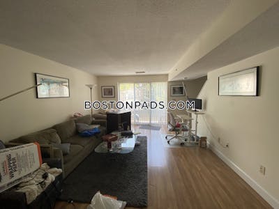 Brighton 2 Beds 1.5 Baths Boston - $3,500 No Fee