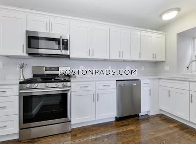 Dorchester 3 Beds 1 Bath Boston - $2,995 No Fee