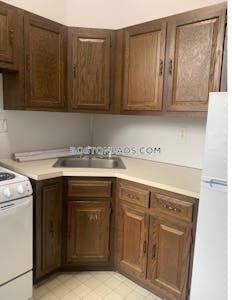 Brookline 1 Bed 1 Bath BROOKLINE- WASHINGTON SQUARE $2,100  Washington Square - $2,100 No Fee