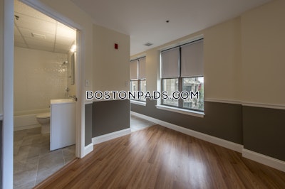 Back Bay 0 Bed 1 Bath BOSTON Boston - $2,500 No Fee
