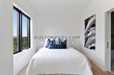 Brighton 2 Bed 2 Bath BOSTON Boston - $4,895 No Fee