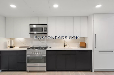Brighton 2 Beds 2 Baths Boston - $4,895 No Fee