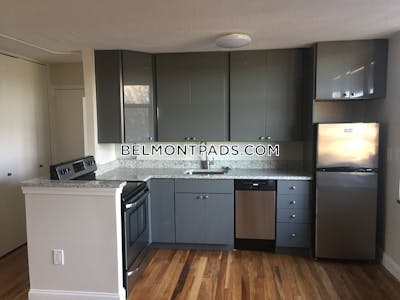 Belmont Apartment for rent 1 Bedroom 1 Bath - $2,100 No Fee