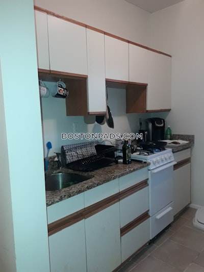 Allston/brighton Border Apartment for rent 1 Bedroom 1 Bath Boston - $2,100 No Fee