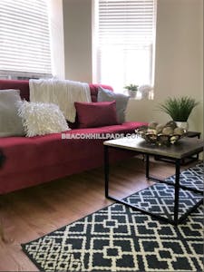 South End 0 Bed 1 Bath BOSTON Boston - $2,650 50% Fee