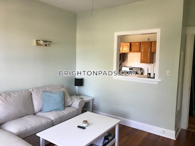 Brighton Apartment for rent 1 Bedroom 1 Bath Boston - $2,050