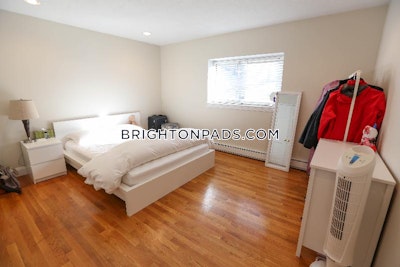 Brighton Apartment for rent 1 Bedroom 1 Bath Boston - $2,600