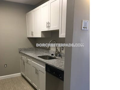 Dorchester Apartment for rent 2 Bedrooms 1 Bath Boston - $2,990