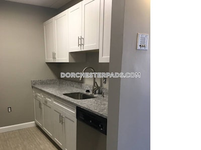 Dorchester Apartment for rent 2 Bedrooms 1 Bath Boston - $2,990