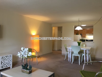 Dorchester Apartment for rent 1 Bedroom 1 Bath Boston - $2,710
