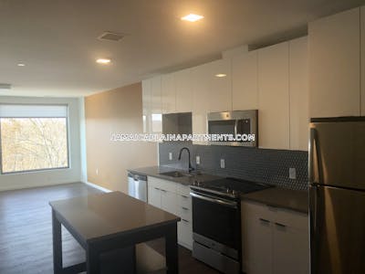 Jamaica Plain Apartment for rent 2 Bedrooms 2 Baths Boston - $4,681 No Fee