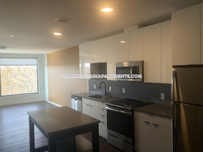 Jamaica Plain Apartment for rent 2 Bedrooms 2 Baths Boston - $4,681 No Fee