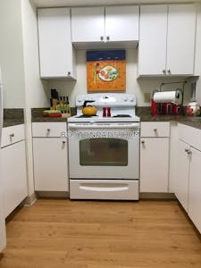 Northeastern/symphony 1 Bed 1 Bath Boston - $3,500