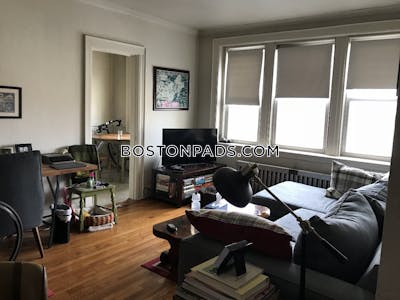 Brighton Apartment for rent 1 Bedroom 1 Bath Boston - $2,295 No Fee