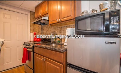 Brookline STUNNING STUDIO APARTMENT IN BROOKLINE!!  Beaconsfield - $3,600