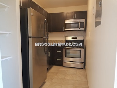 Brookline Apartment for rent 1 Bedroom 1 Bath  Boston University - $3,100 No Fee