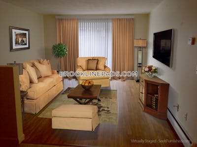Brookline Apartment for rent 1 Bedroom 1 Bath  Boston University - $2,800 No Fee