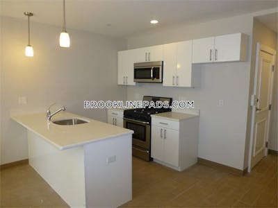Brookline Apartment for rent 3 Bedrooms 1 Bath Brookline Village - $2,850