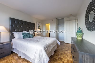 Brookline Apartment for rent 2 Bedrooms 1.5 Baths  Boston University - $3,800 No Fee