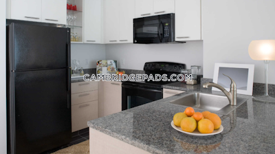Cambridge Apartment for rent Studio 1 Bath  Kendall Square - $3,201