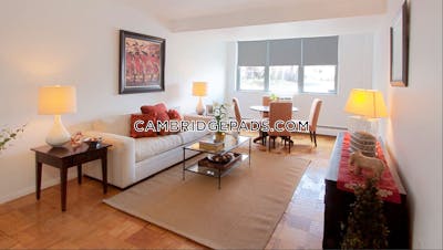 Cambridge Apartment for rent 1 Bedroom 1 Bath  Porter Square - $3,067 No Fee