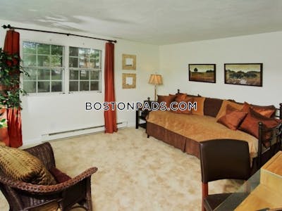 Randolph Apartment for rent 1 Bedroom 1 Bath - $2,045