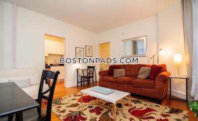 Brookline Apartment for rent 1 Bedroom 1 Bath  Cleveland Circle - $4,800
