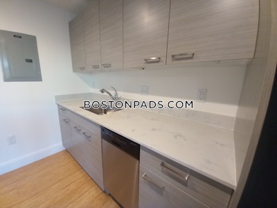 Allston Apartment for rent 2 Bedrooms 2 Baths Boston - $4,100 No Fee