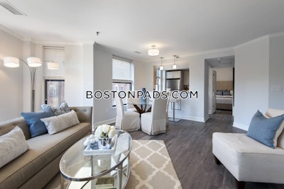 Back Bay 1 bedroom  baths Luxury in BOSTON Boston - $4,627