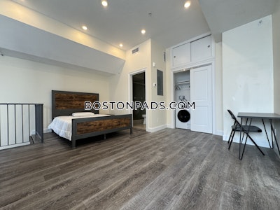 Brookline Apartment for rent 1 Bedroom 1 Bath  Boston University - $3,500