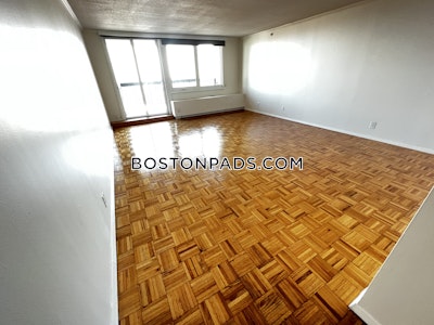 West End Apartment for rent 1 Bedroom 1 Bath Boston - $4,350