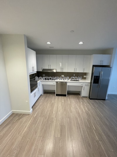 Allston Apartment for rent 1 Bedroom 1 Bath Boston - $4,013