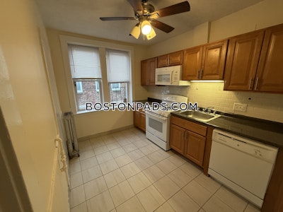 Allston Apartment for rent 1 Bedroom 1 Bath Boston - $2,550 No Fee