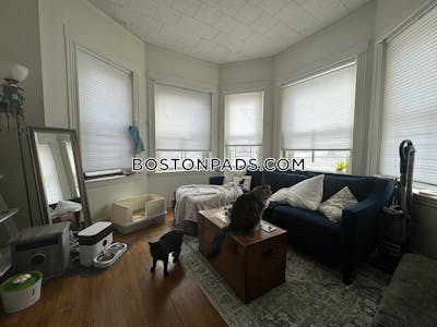 Allston/brighton Border 2 Beds 1 Bath Boston - $2,450