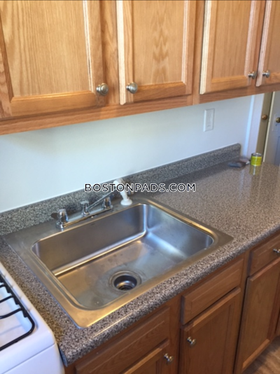 Allston/brighton Border 1 Bed 1 Bath Boston - $2,625 No Fee