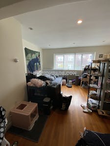 Allston Apartment for rent Studio 1 Bath Boston - $2,400