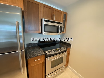 West End Apartment for rent 1 Bedroom 1 Bath Boston - $3,430